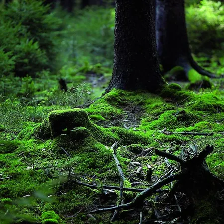 فندق Gaestehaus Wilgersdorf Gmbh Wilnsdorf