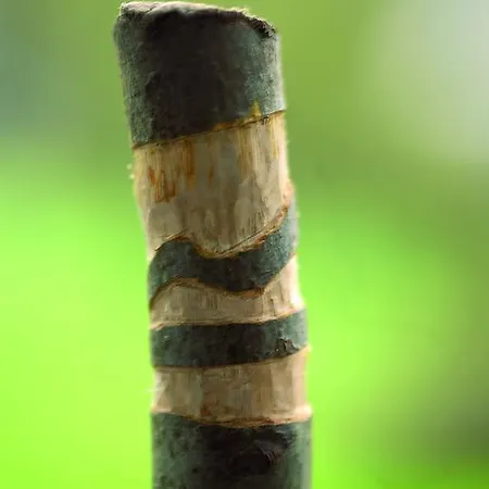 酒店 Gaestehaus Wilgersdorf Gmbh 4*