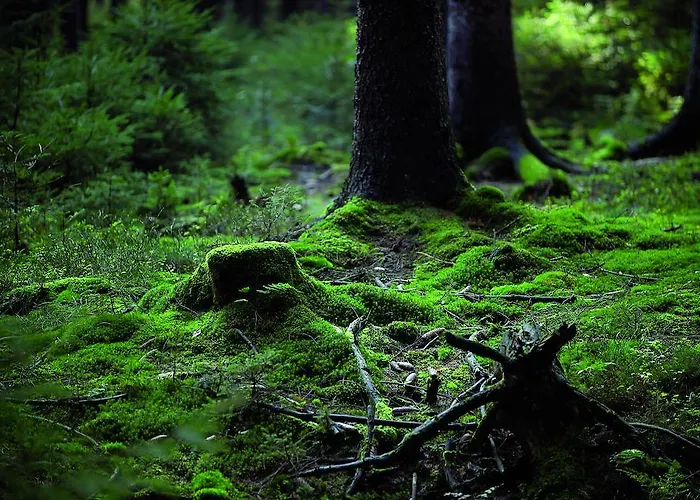 Hotel Gaestehaus Wilgersdorf Gmbh Wilnsdorf