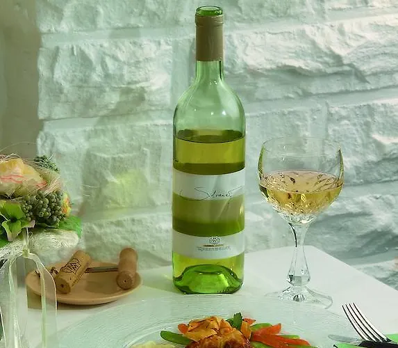 Gaestehaus Wilgersdorf Gmbh